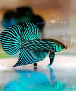 Betta Smaragdina Diamond Painting