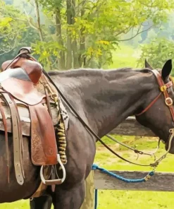 Black Western Horse In Farm Diamond Painting