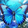 Blue And Black Butterfly And Flowers Diamond Painting