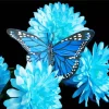 Blue And Black Butterfly On Flowers Diamond Painting