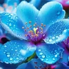 Blue Blossom Flower Diamond Painting