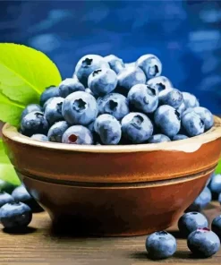 Blueberries In Bowl Diamond Painting