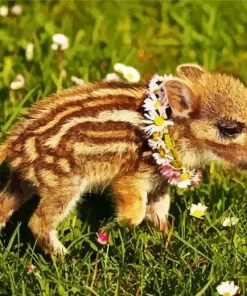 Boar Baby Diamond Painting