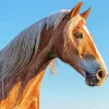 Brown Horse With Blond Hair Diamond Painting