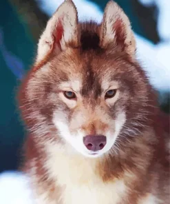 Brown Wolf Diamond Painting
