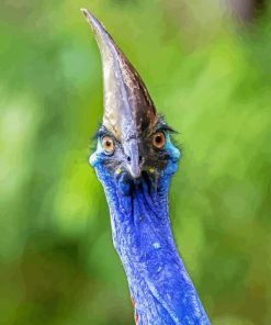 Cassowary Diamond Painting