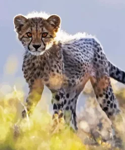 Cheetah Cub Diamond Painting