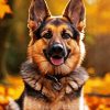 Cute German Shepherd Diamond Painting
