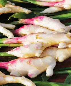 Ginger Plant Diamond Painting