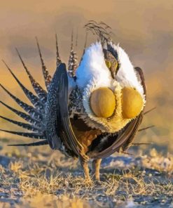 Greater Sage Diamond Painting