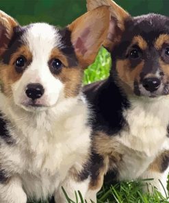 Lancashire Heeler Diamond Painting