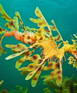Leafy Seadragon Diamond Painting