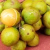 Spanish Lime Diamond Painting