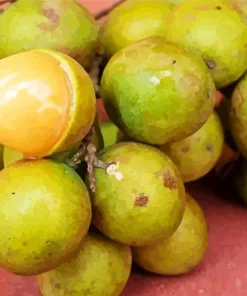 Spanish Lime Diamond Painting