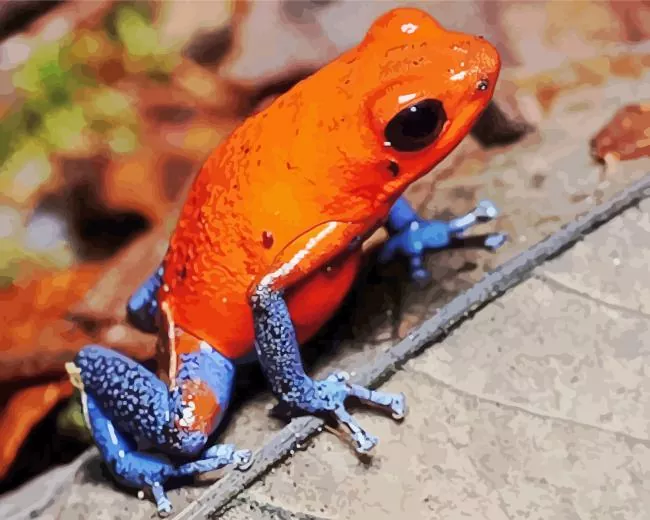 The blue and orange frog Diamond With Numbers The Blue And Orange Frog Diamond Painting