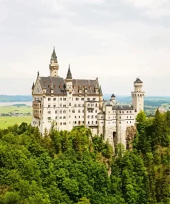 The High Castle Fussen Diamond Painting