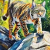 Wild Bobcat Diamond Painting