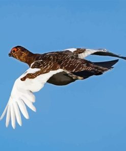 Willow Ptarmigan Diamond Painting