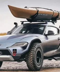 Aesthetic Dum Buggy Art Diamond Painting