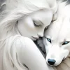 Aesthetic Female And White Wolf Art Diamond Painting