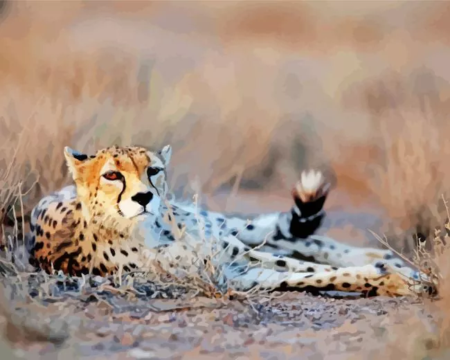 asiatic cheetah Diamond By Numbers Asiatic Cheetah Diamond Painting