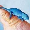Baby Chameleon Diamond Painting