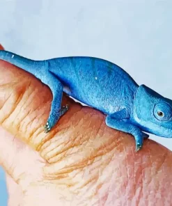 Baby Chameleon Diamond Painting