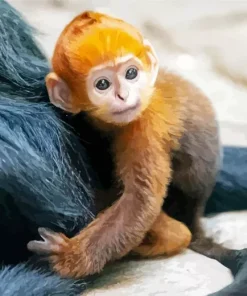 Baby Monkey Diamond Painting