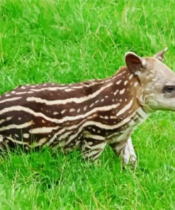 Baby Tapir Diamond Painting