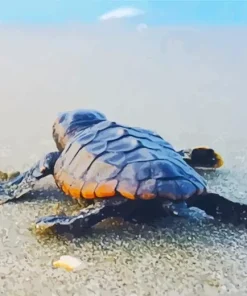 Beach With Turtle Diamond Painting