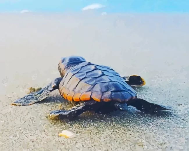 beach with turtle Diamond With Numbers Beach With Turtle Diamond Painting