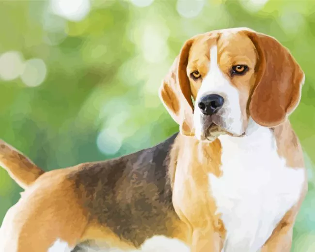 beagle hound dog Diamond With Numbers Beagle Hound Dog Diamond Painting
