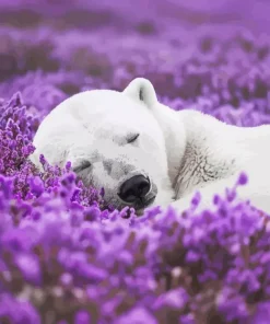 Bear Sleeping Diamond Painting