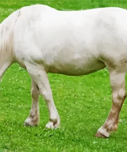 Beige Horse Diamond Painting