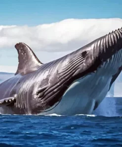 Big Blue Whale Diamond Painting