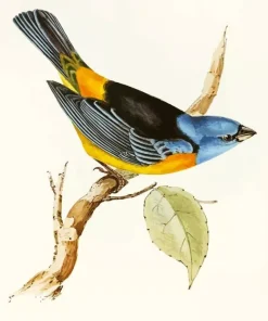 Bird Illustration Diamond Painting