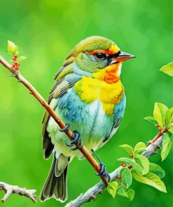 Bird On Branch Diamond Painting