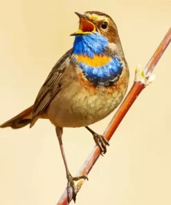 Bird Singing Diamond Painting