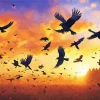 Birds Silhouette Diamond Painting