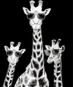 Black And White Giraffes Diamond Painting