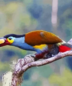 Black Billed Mountain Toucan Diamond Painting