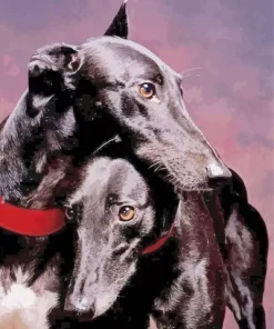 Black Whippet Puppies Diamond Painting