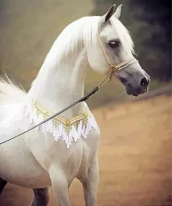 Blonde Arabian Horse Diamond Painting