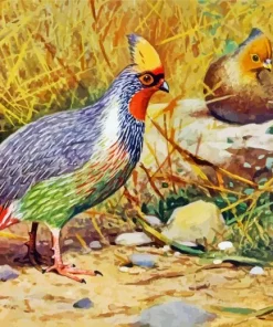 Blood Pheasant Bird Art Diamond Painting