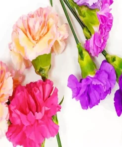 Blooming Carnation Flowers Diamond Painting