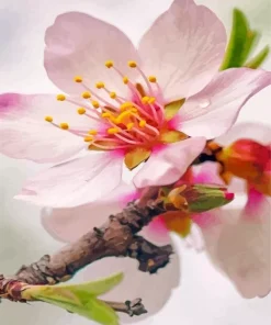 Blossom Flower Diamond Painting