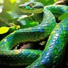 Blue And Green Pit Vipers Diamond Painting
