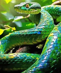 Blue And Green Pit Vipers Diamond Painting