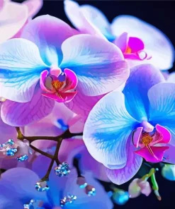 Blue And Pink Orchid Diamond Painting