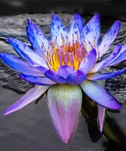 Blue And Purple Lotus Flower Diamond Painting